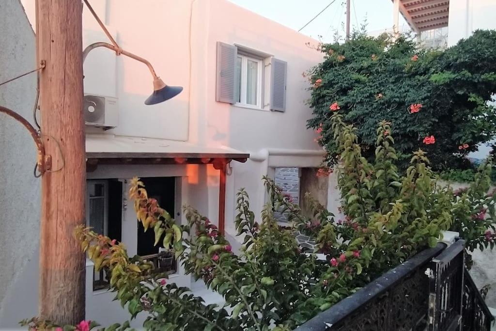 Вилла Naxion Esti - Διαμονή Στην Παλιά Χώρα Της Νάξου Naxos City Экстерьер фото