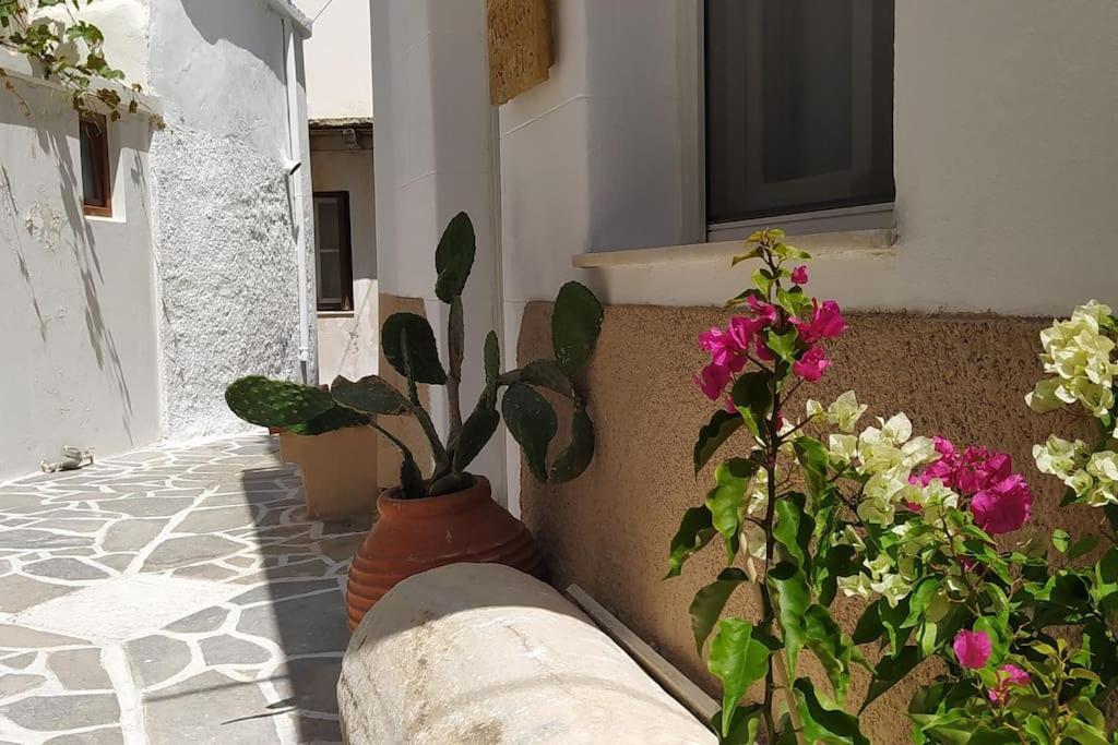 Вилла Naxion Esti - Διαμονή Στην Παλιά Χώρα Της Νάξου Naxos City Экстерьер фото