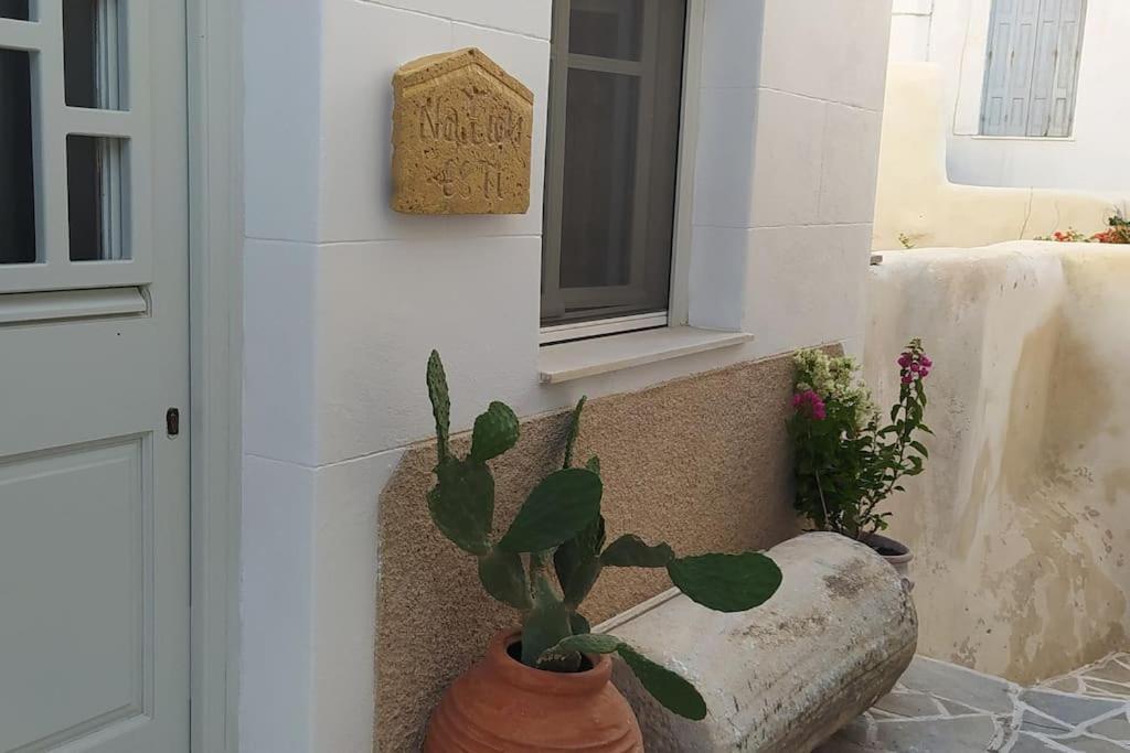 Вилла Naxion Esti - Διαμονή Στην Παλιά Χώρα Της Νάξου Naxos City Экстерьер фото